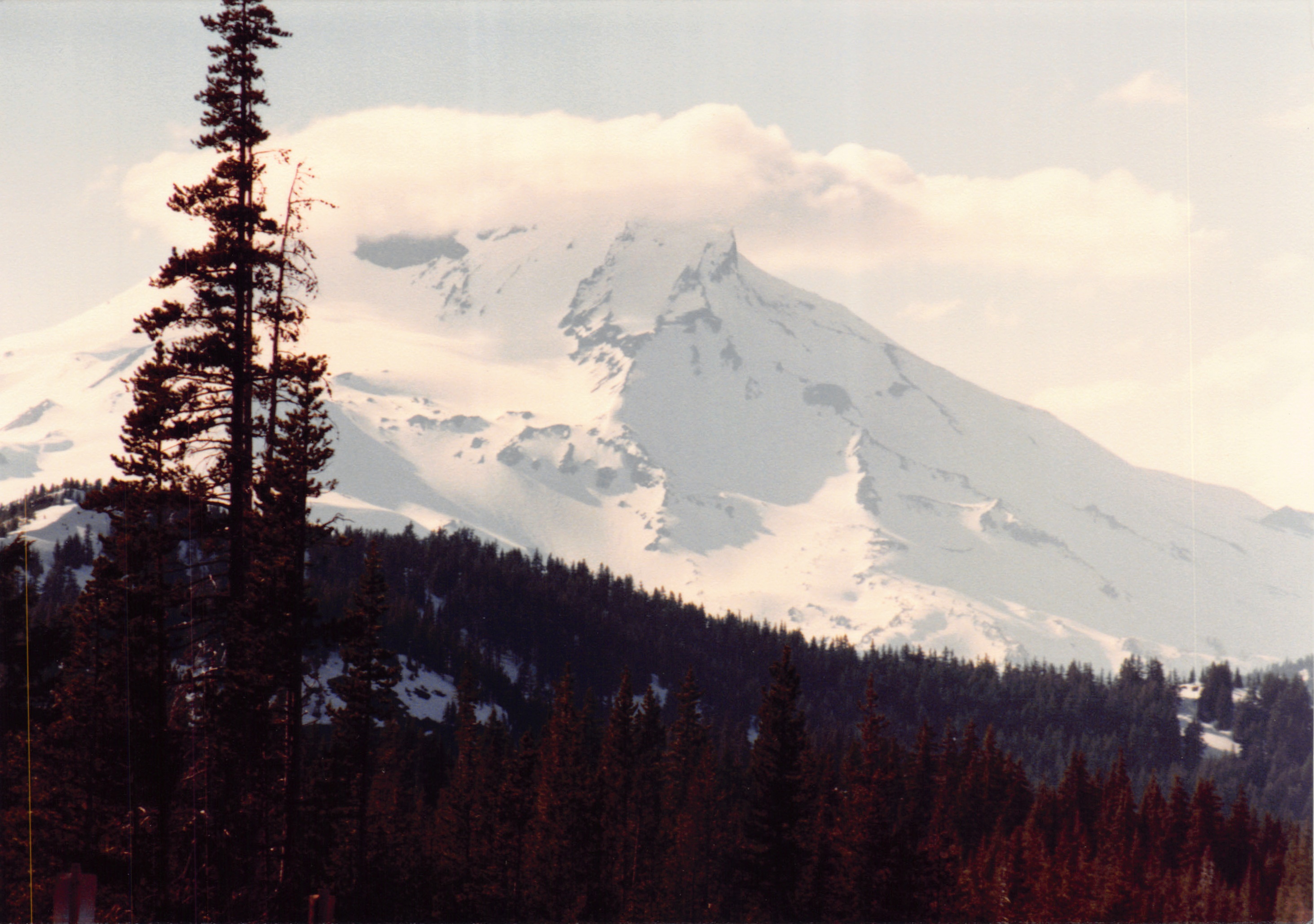 1985_Part 2_01_074.jpg